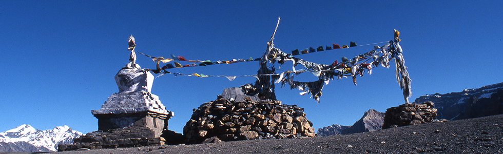 Stupa and prayer flags in Ladakh