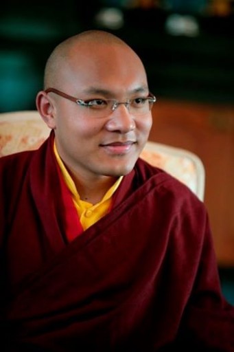 Karmapa Orgyen Thinley (2014)