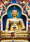 Buddha Shakyamuni