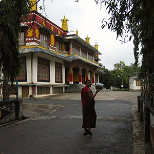 Buddhist monk in Drepung monastery, India