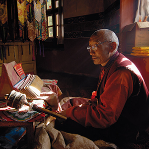 Buddhist Monk studying
