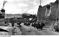 Phari. The barren plateau has no wood, so yak dung patties placed on walls to dry are the main fuel source.